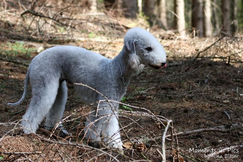 2010-05-29 Alanna und Svet (7).jpg - Arc-en-ciel Alanna 2010-05-29